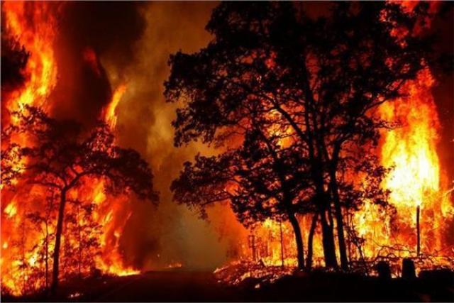 استراليا ارتفاع حصيلة ضحايا حرائق الغابات إلى 15 شخصا شئون