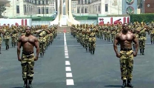 ترتيب الجيش المصري