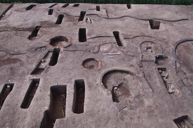 الكشف عن 110 مقبرة بمنطقة كوم الخلجان بالدقهلية