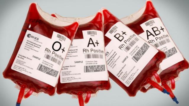 قانون تنظيم عمليات الدم وتجميع البلازما