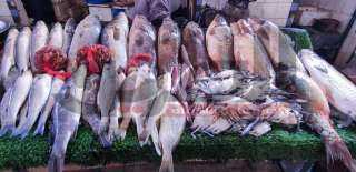 أسعار الأسماك في مصر اليوم الجمعة 14 يناير 2022