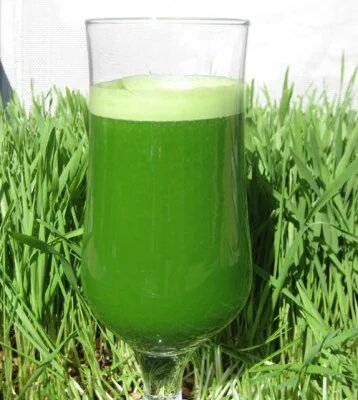 بعد الإعلان عن إنتاج عصير البرسيم خبير تغذية النبات الأخضر يعلاج 14 مرضا تحقيقات جريدة الطريق